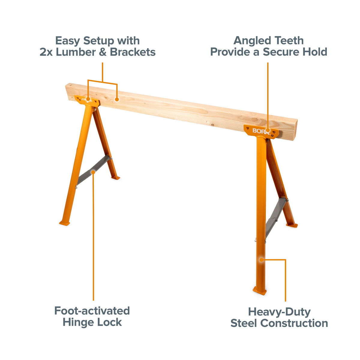 BORA Jobhorse clamping-teeth-2x4 captures secure grip on 2x4 lumber for precise cuts.