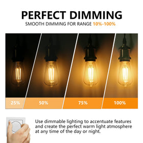 BORT dimmable filament bulbs allow smooth brightness for dining and ambiance.