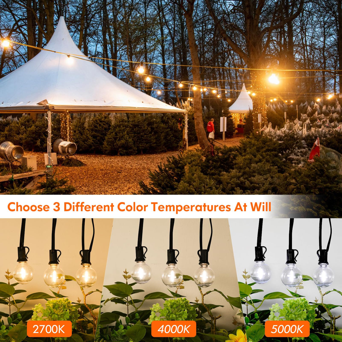 Bosceos 3CCT remote dimmable setup enables ambient control for any occasion.