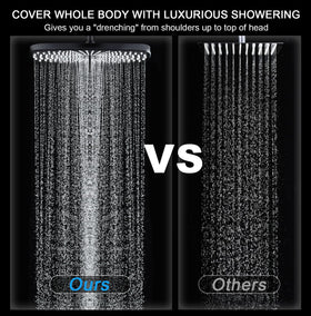 BOZYBO dual shower head switch for convenient rainfall or handheld use