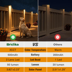 Bridika dusk-to-dawn operation ensures hands-free lighting after dark.