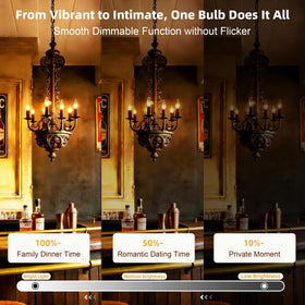 Brighfivey long-lasting bulb up to 20,000 hours indoors