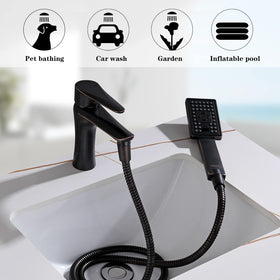 Bright Showers flexible hose ideal for bathing kids and pets.