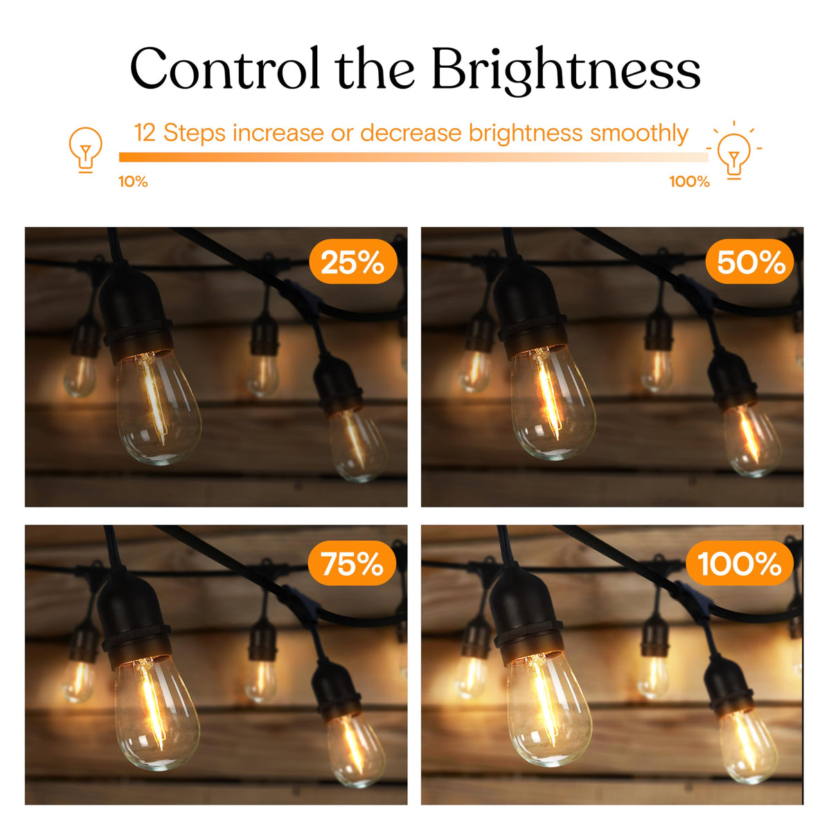 Brightech 3-year warranty emblem signals trusted durability and support.