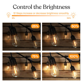 Brightech 3-year warranty emblem signals trusted durability and support.