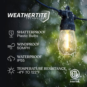 Brightech Ambience Pro 12 LED bulbs create warm outdoor ambience.