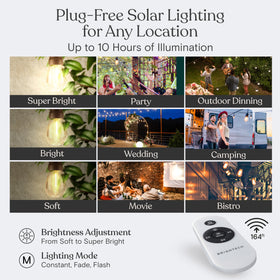 Brightech Ambience Pro 2-year warranty gives you peace of mind.