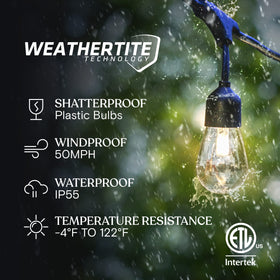 Brightech Ambience Pro LED bulbs for durable outdoor lighting