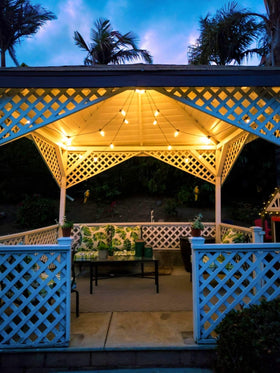 Brightech Ambience Pro two-year warranty supports long-term durability