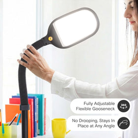 Brightech Litespan natural daylight LEDs highlight fine details