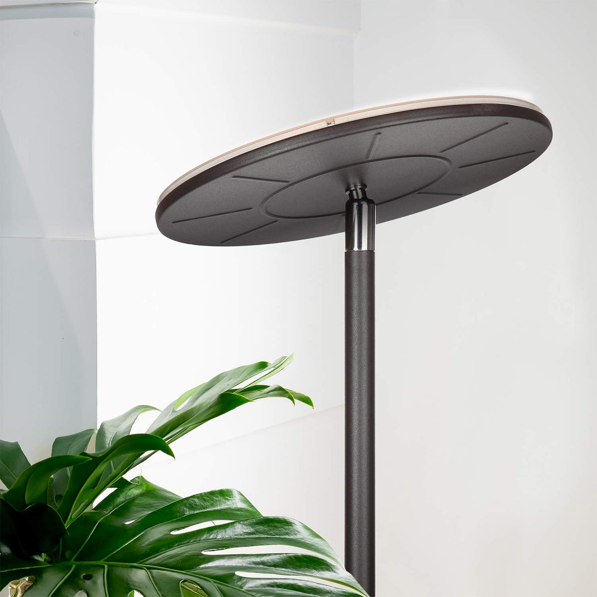 Brightech Sky floor lamp 7-5 foot cord for flexible placement in rooms.