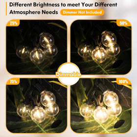 Brightever connectable design lets end-to-end power across up to three strands.