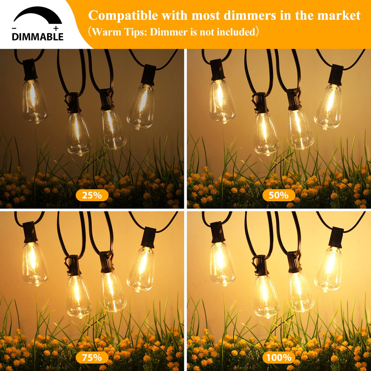Brightever 2700K dimmable bulbs offer soft vintage glow for evenings.