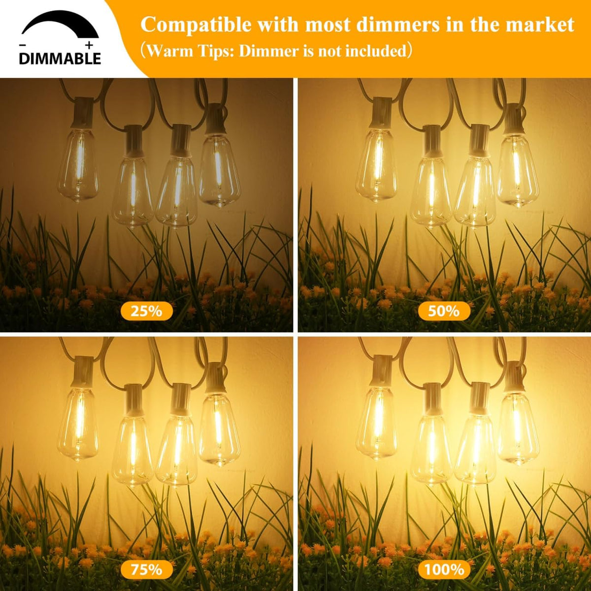 Brightever end-to-end connection supports up to 30 strands for large spaces