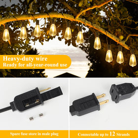Brightever end-to-end connectivity supports multiple strands