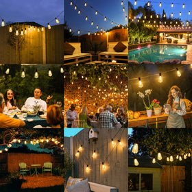 Shatterproof bulbs reduce breakage risk during windy events.