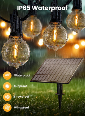 Brightown 16 LED shatterproof bulbs deliver durable illumination