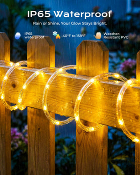 Brightown 2-Pack lights wrap a tree for festive outdoor ambiance.