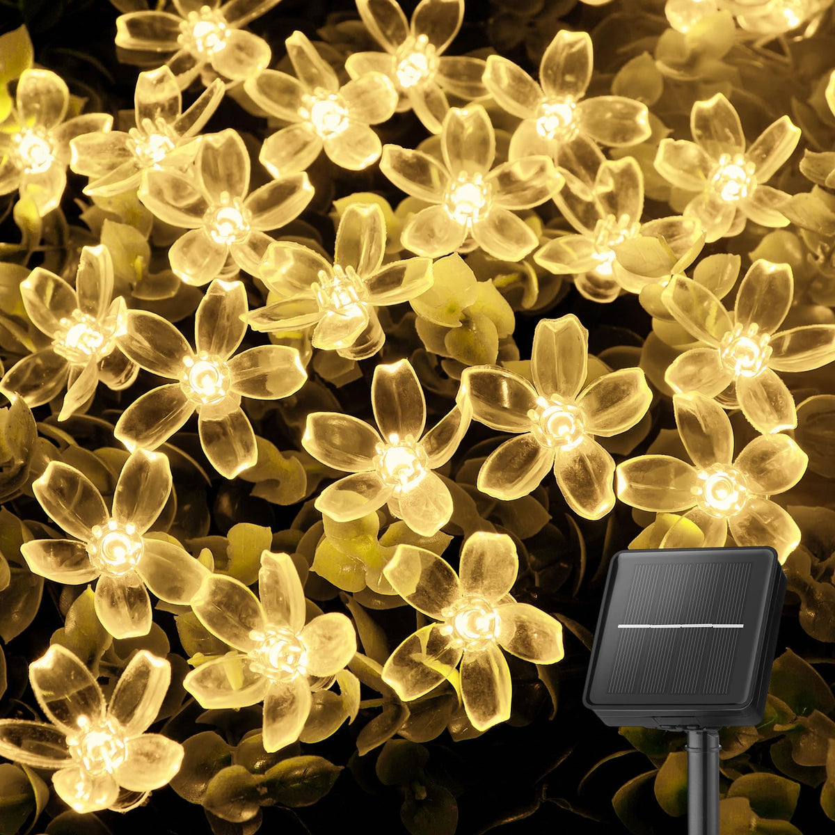 Brightown 60 LED solar string lights with cherry blossom design lighting your garden path.