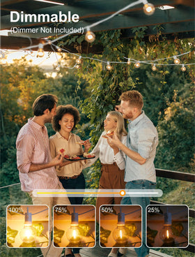 Brightown connectable outdoor string light strand for large layouts