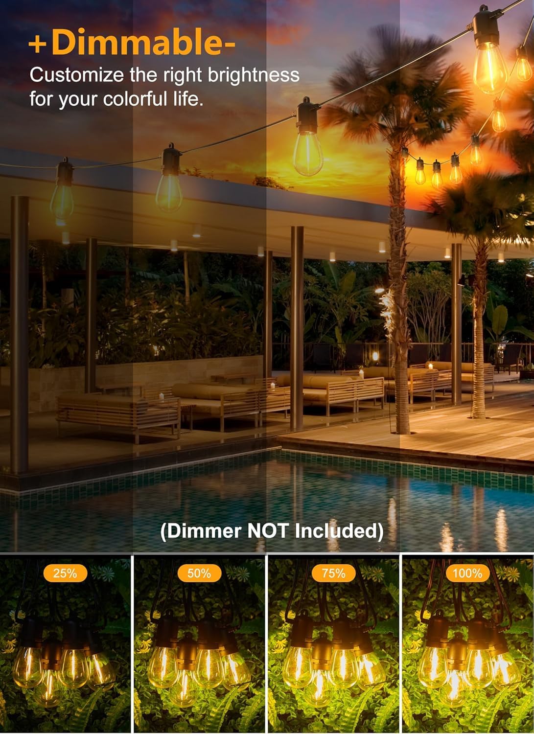 Brightown dimmer-compatible lights offer flexible mood lighting for gatherings