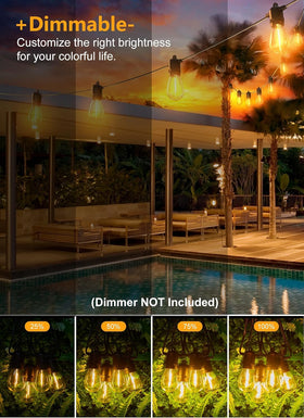 Brightown dimmer-compatible lights offer flexible mood lighting for gatherings