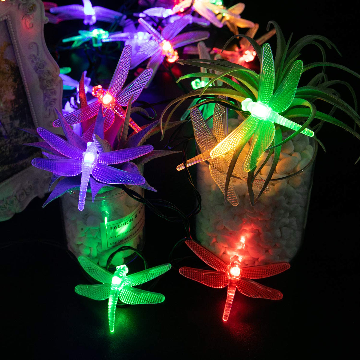 Brightown dragonfly lights illuminate the garden at night with multicolor hues