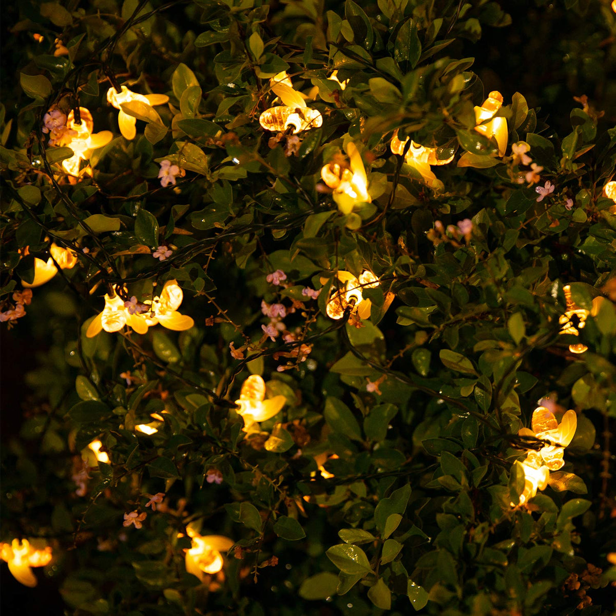 Brightown garden lights create a warm, welcoming atmosphere at dusk