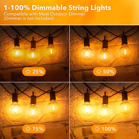 Brightown easy-install lights with dual hooks per bulb socket for flexible hanging
