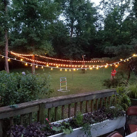 Brightown 7W bulbs provide consistent brightness for gatherings
