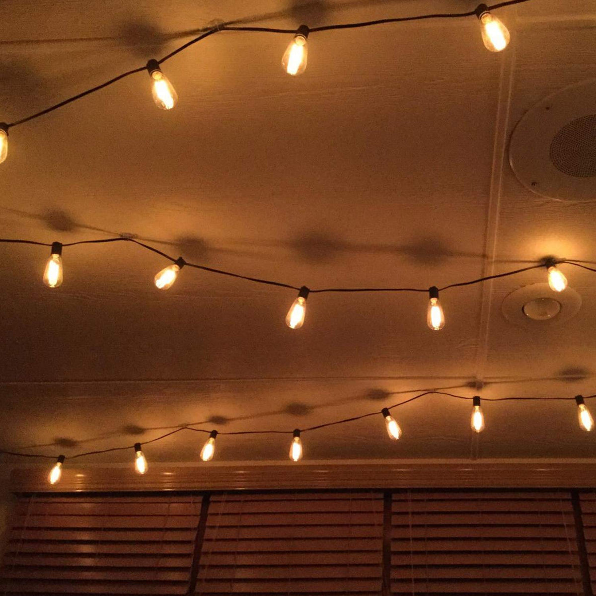 Brightown ST40 bulbs fit outdoor string lights and pendants