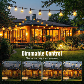 Brightown end-to-end connectable strings enable larger decorative layouts.