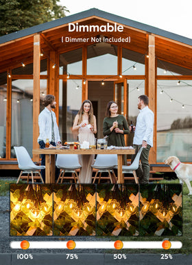 Brightown G40 50-pack offers cost-effective decorative lighting.