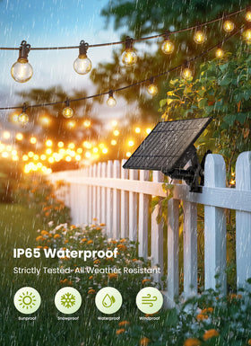 Brightown G40 shatterproof bulbs provide durable outdoor lighting.