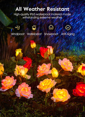 Brightown IP65 waterproof rose lights withstand weather while decorating patios