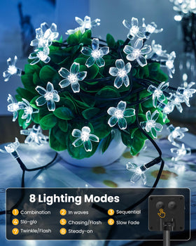 Brightown warm white outdoor lights add cozy ambiance along fences and patios.