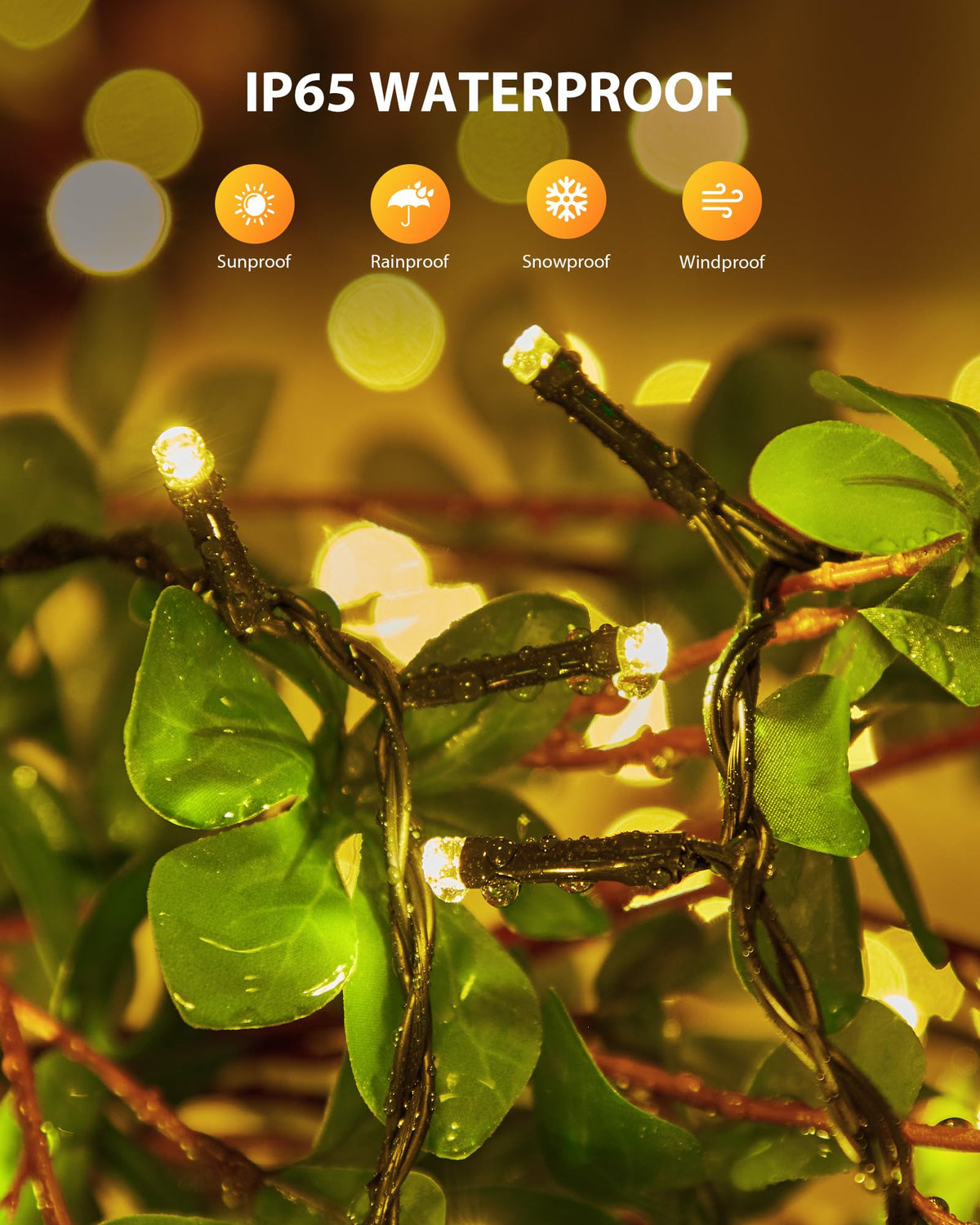 Brightown lights along fence edge for decorative charm.