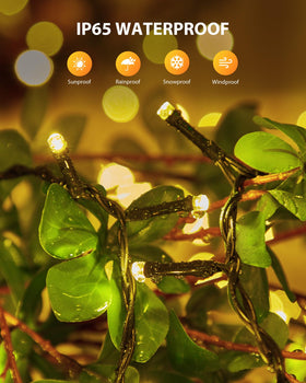 Brightown lights along fence edge for decorative charm.