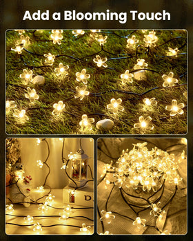 Brightown warm white outdoor ambience enhances backyard gatherings and evenings.