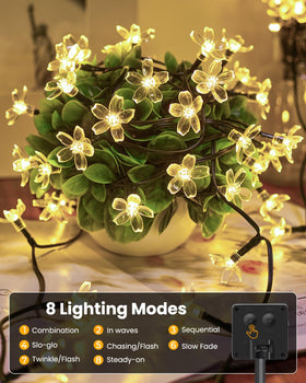 Brightown weatherproof IP65 solar garden lights withstand rain and year-round outdoor use.