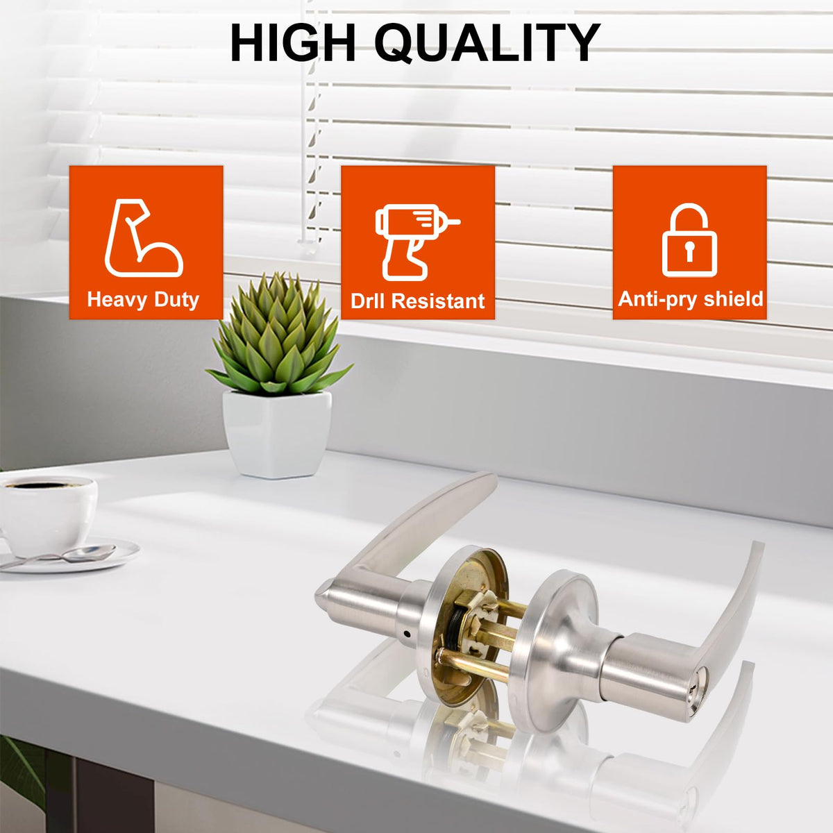 Brigligh stainless steel door handle with screws and latch components for quick setup.