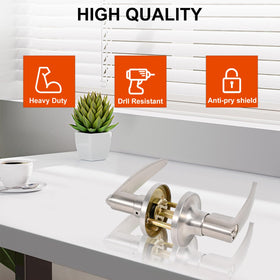 Brigligh stainless steel door handle with screws and latch components for quick setup.