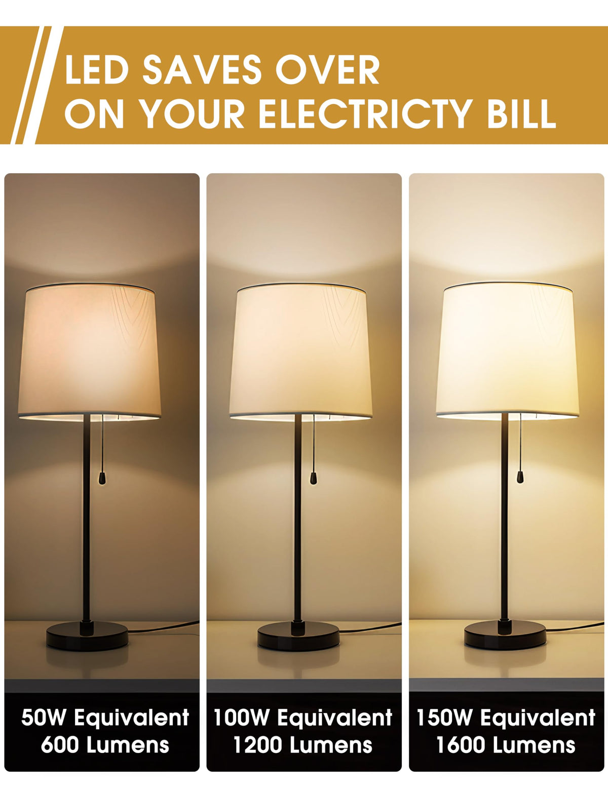 Briignite 3 Way LED bulb saves energy while delivering strong luminous output.