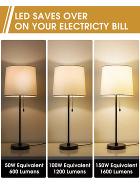 Briignite 3 Way LED bulb saves energy while delivering strong luminous output.