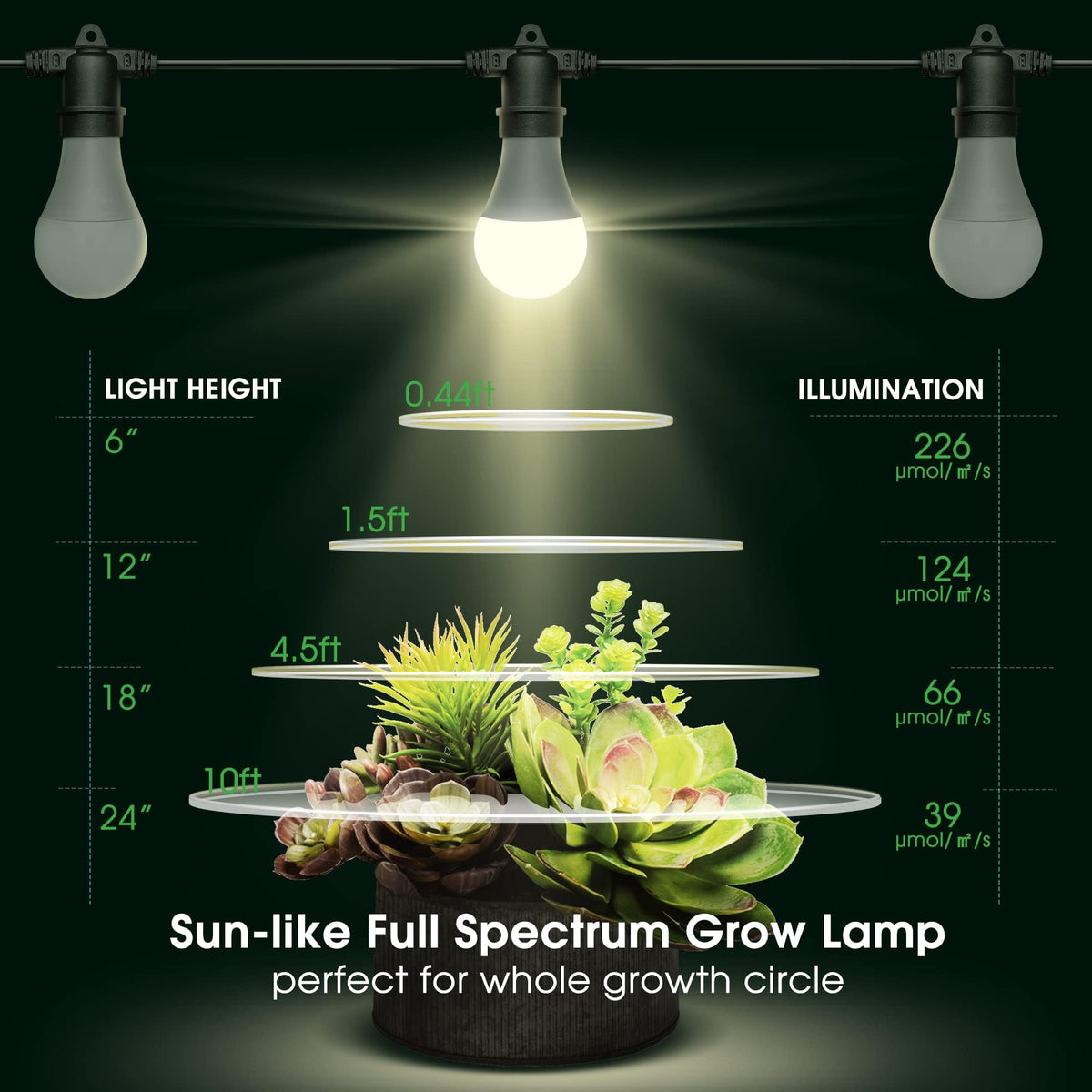 Briignite energy-efficient LED delivers long-lasting, low-cost operation.