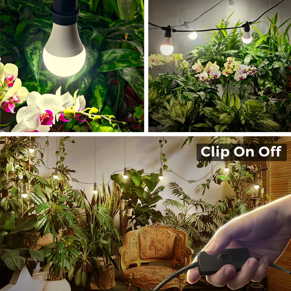 Briignite full-spectrum 4000K LED supports seed-to-harvest growth.