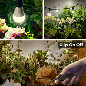 Briignite full-spectrum 4000K LED supports seed-to-harvest growth.