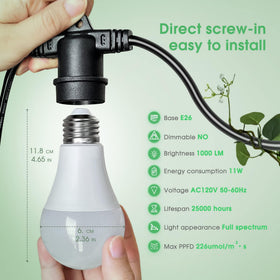 Briignite replaceable bulbs extend lighting and reduce waste.