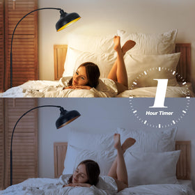 Brilvibera Dimmable Floor Lamp offers 3000K-6000K ambient options.