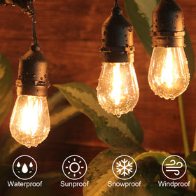 BRIMAX 5 LED bulbs on a 12ft string offer energy-efficient ambient light for gatherings.